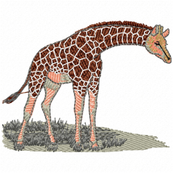 Giraffe Embroidery Design 6